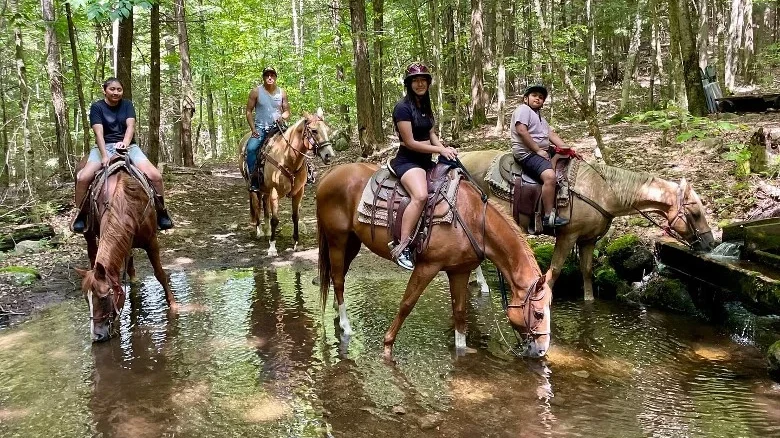 ashleysponiesrunandtrails