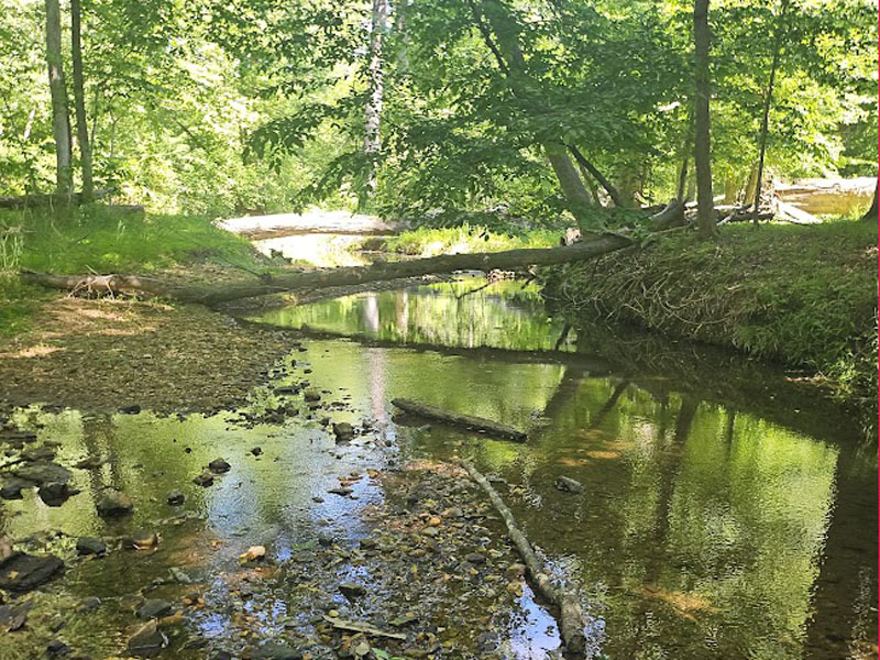 ashleysponiesrunandtrails