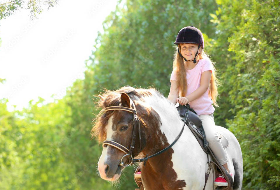 ashleyponysrunandtrails